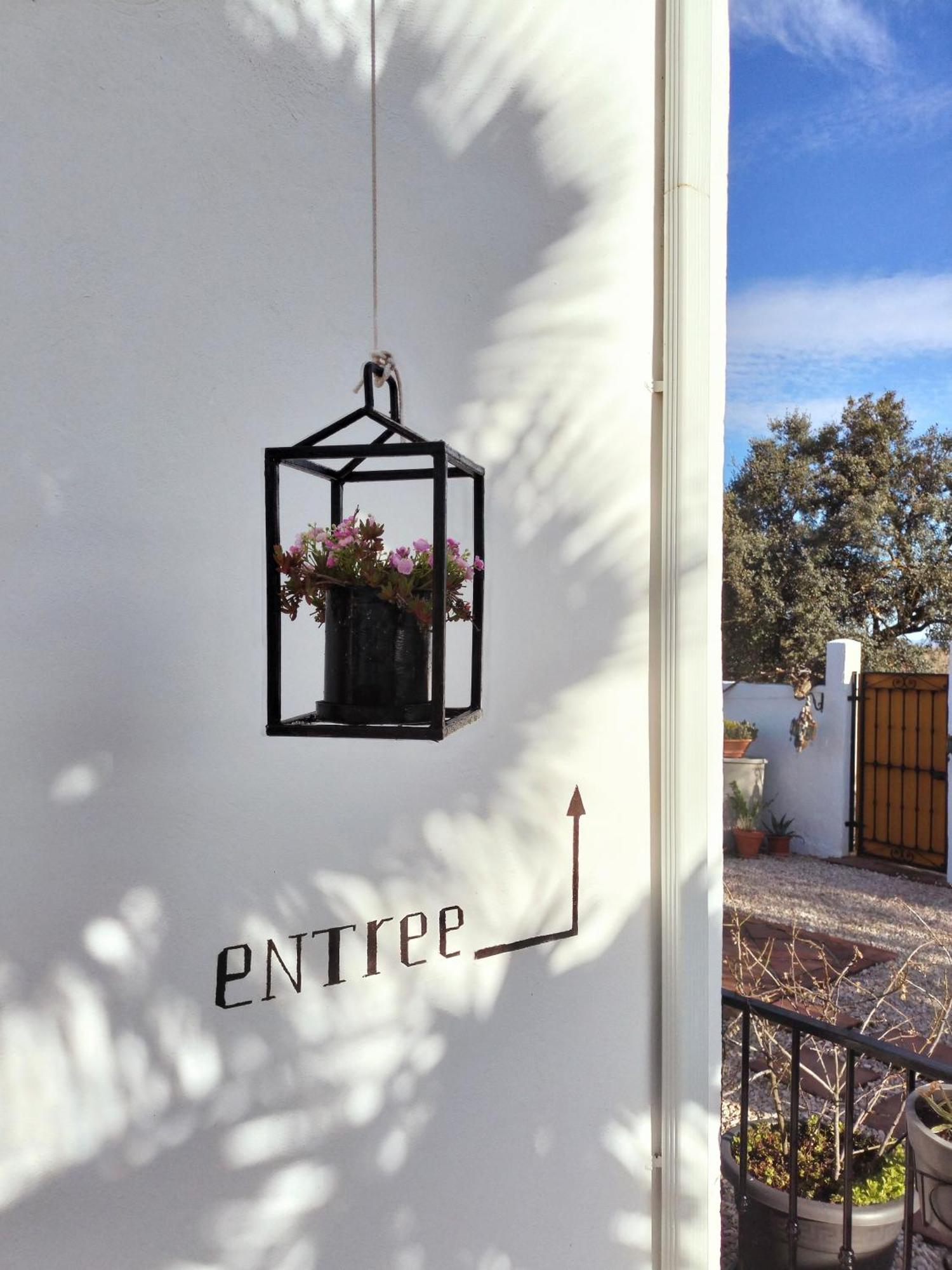 Bed and Breakfast Todos Y Tonya Archidona Exteriér fotografie