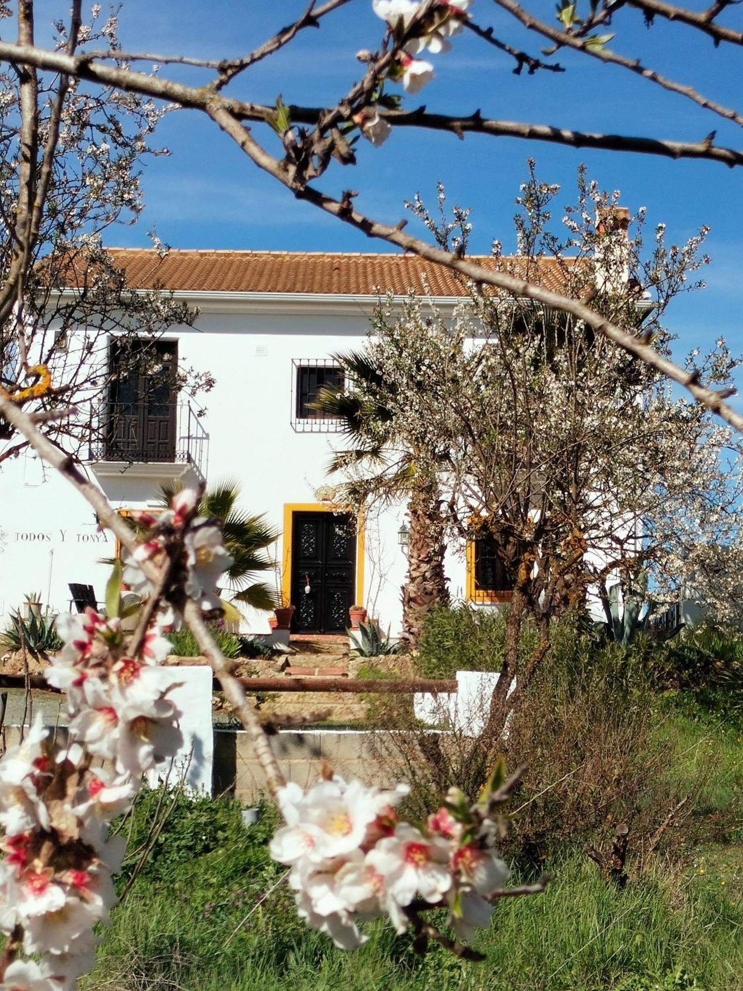 Bed and Breakfast Todos Y Tonya Archidona Exteriér fotografie