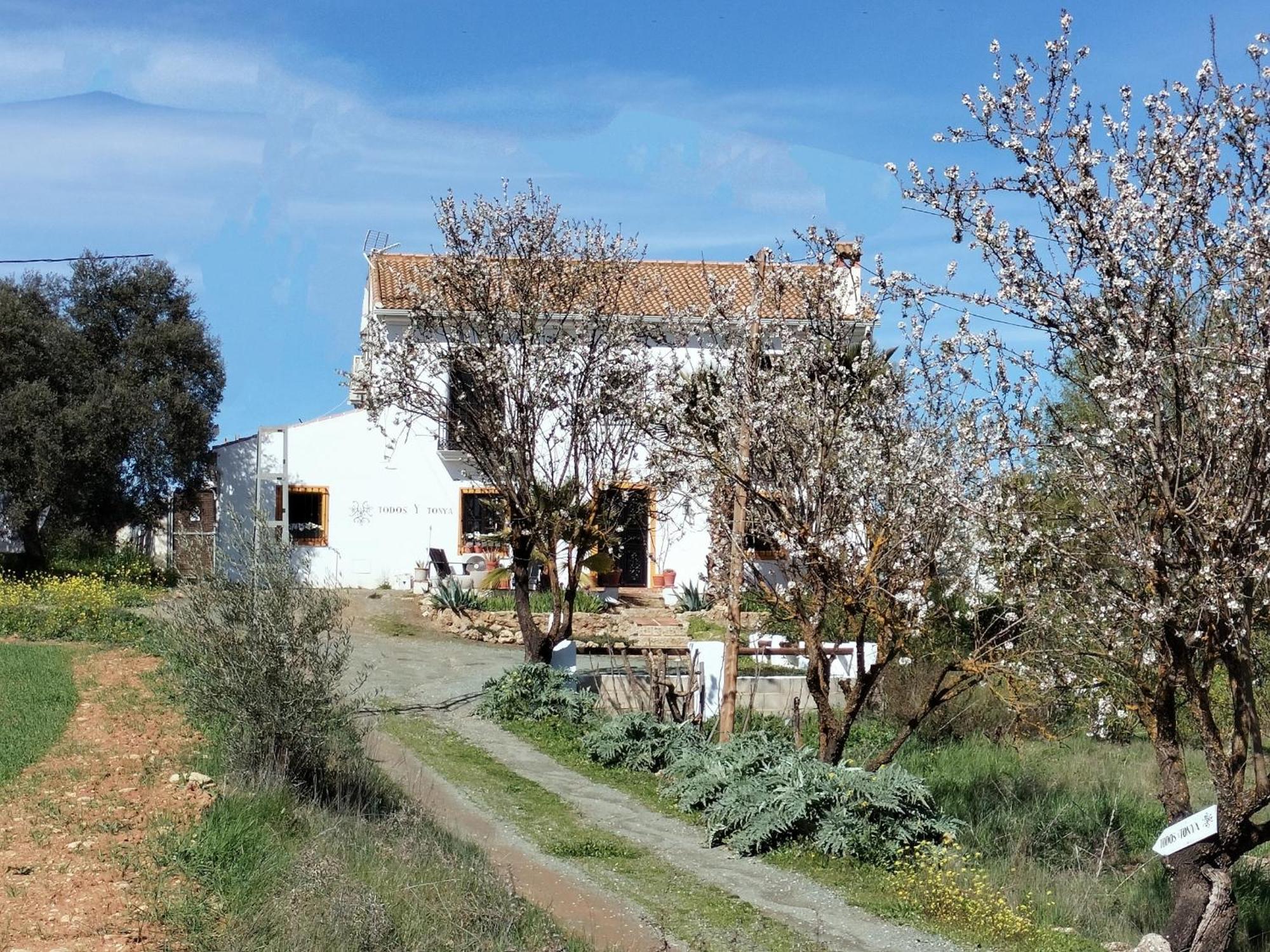 Bed and Breakfast Todos Y Tonya Archidona Exteriér fotografie